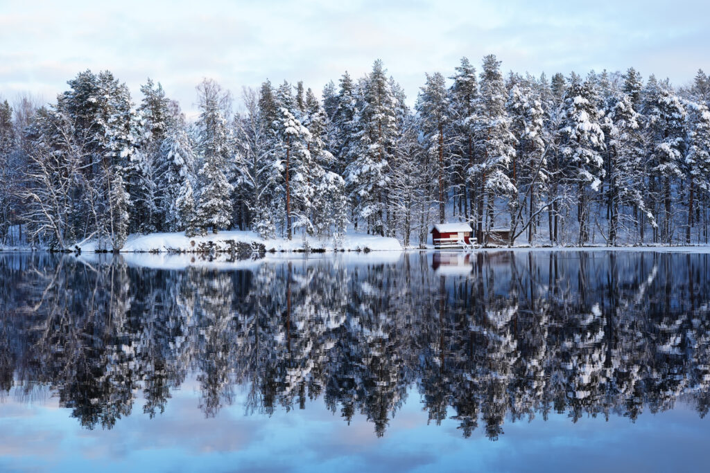 Petri Hämäläinen