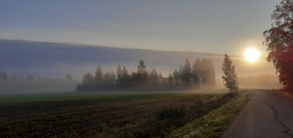 Suvi Jyrkkä