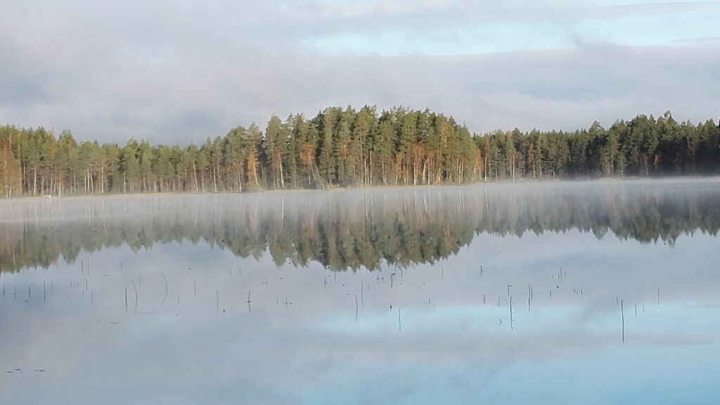 Mökkiläinen