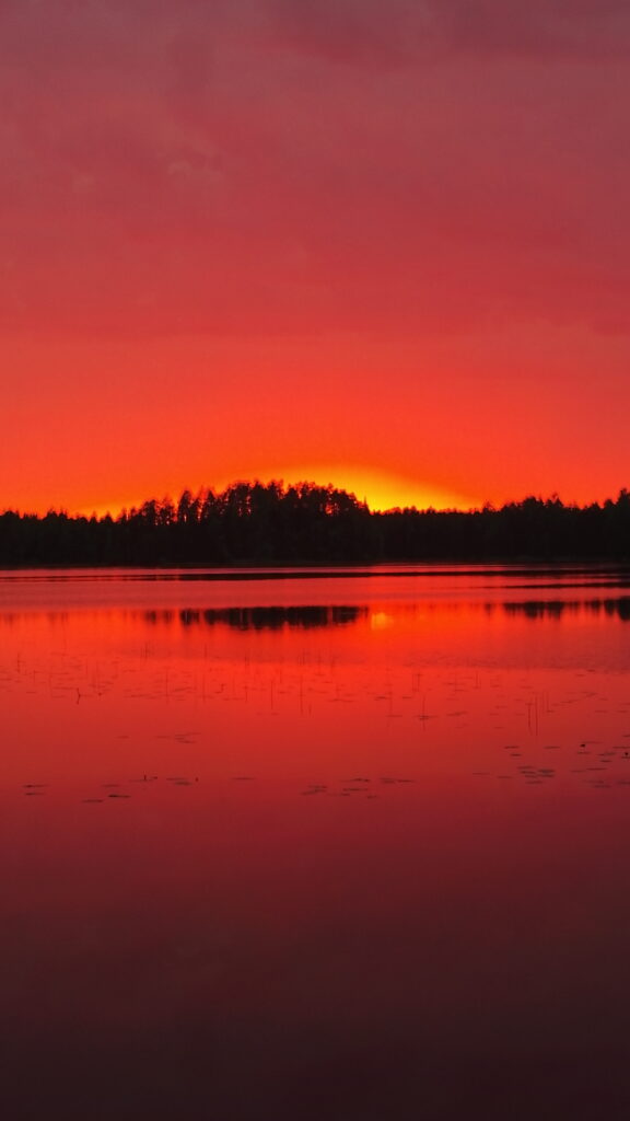 Mökkiläinen
