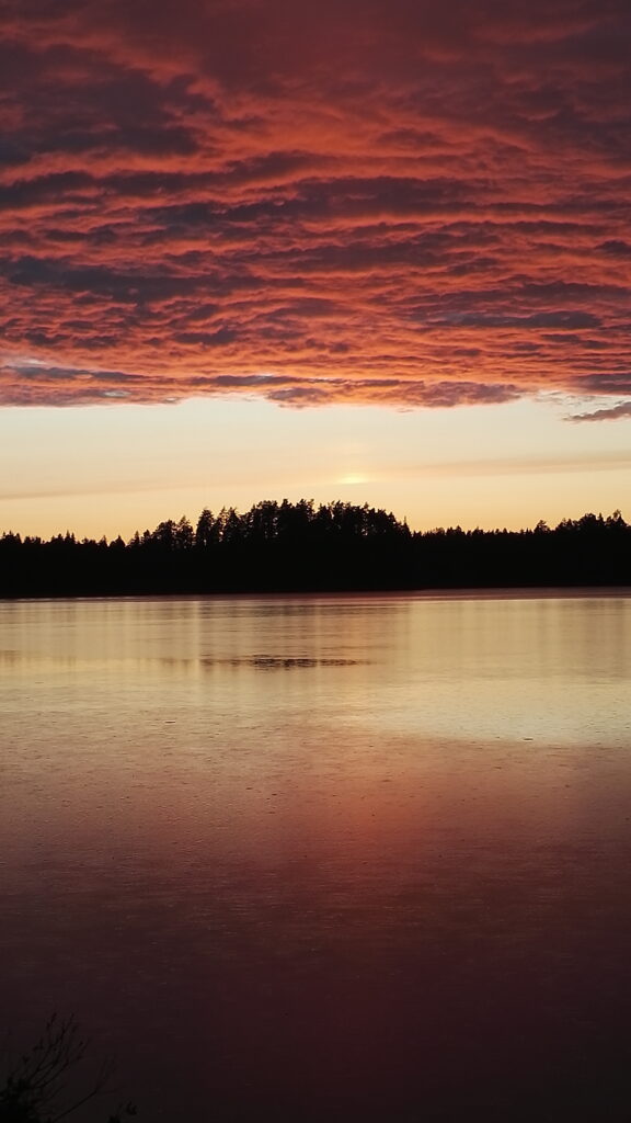 Mökkiläinen
