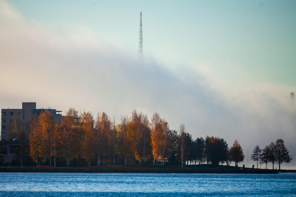 Lehtolaari
