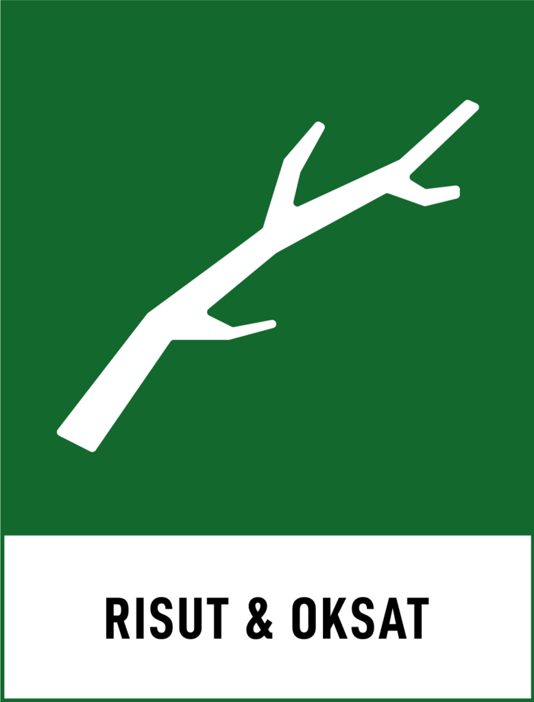 Risut ja oksat