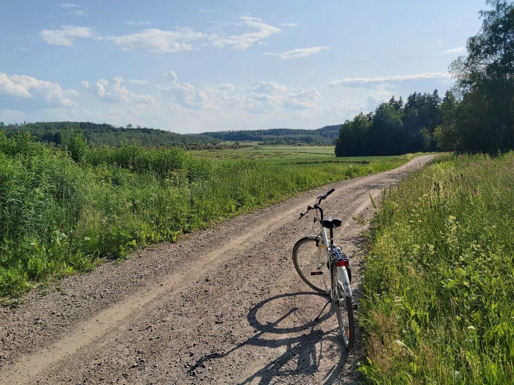 Sini Lyytikäinen