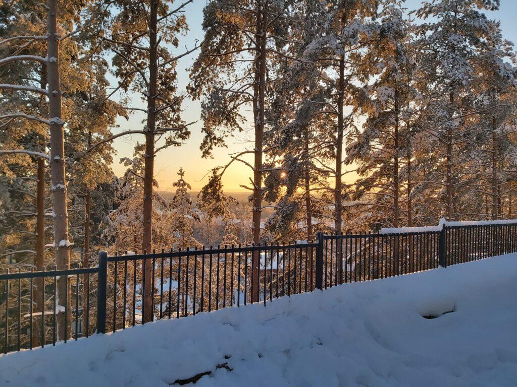 Sini Lyytikäinen