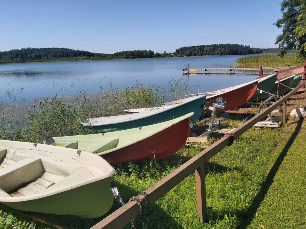 Sini Lyytikäinen