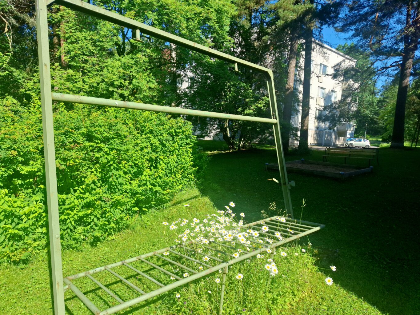 Nea