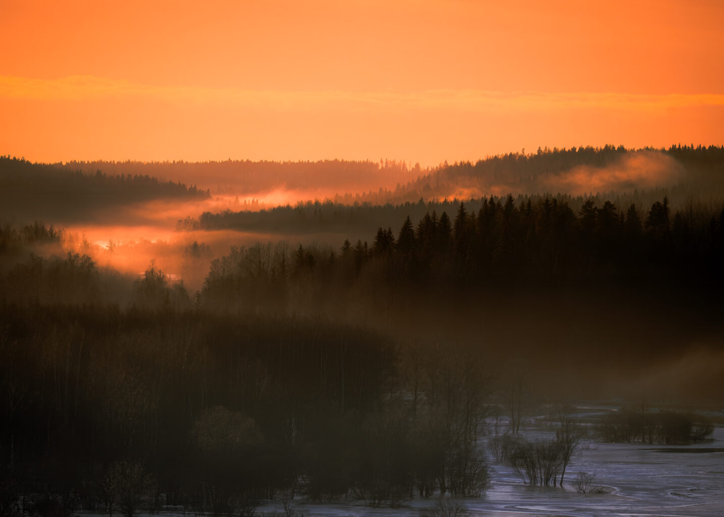 JPasanen Wildlife