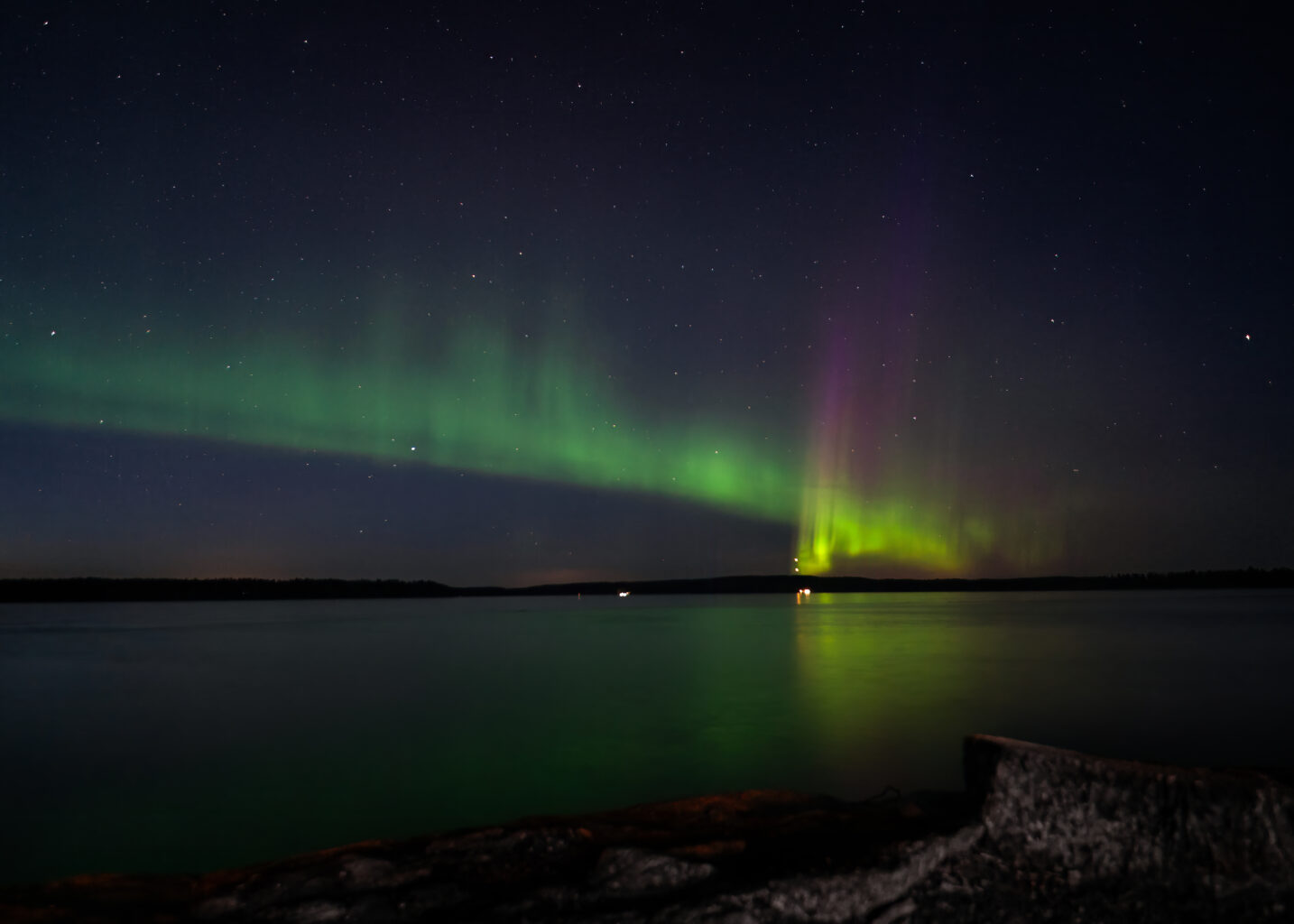 JPasanen Wildlife